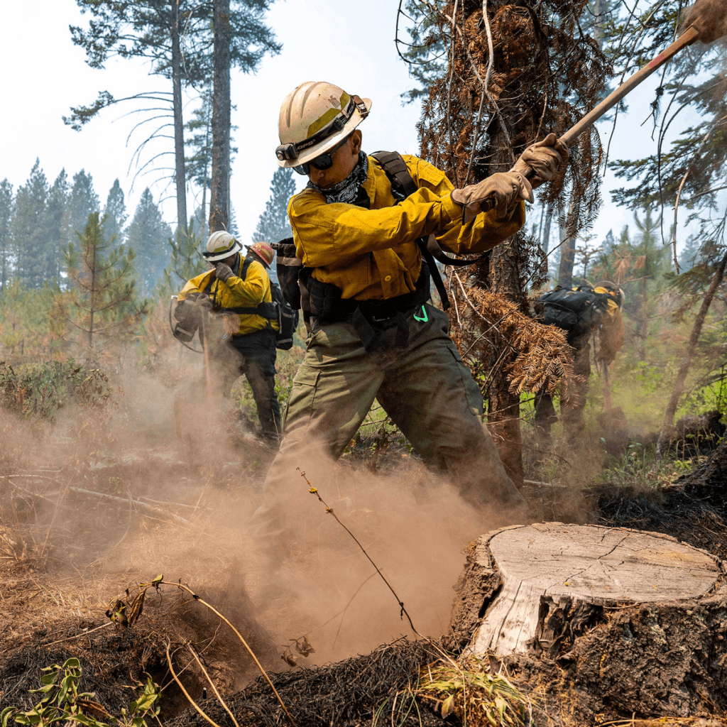 Forest Firefighter by Protenge