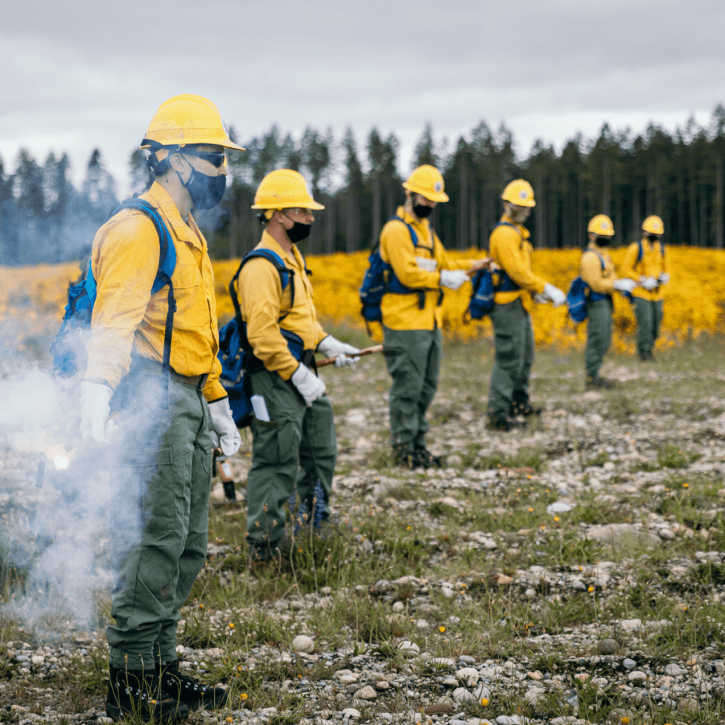 Forest Firefighter by Protenge