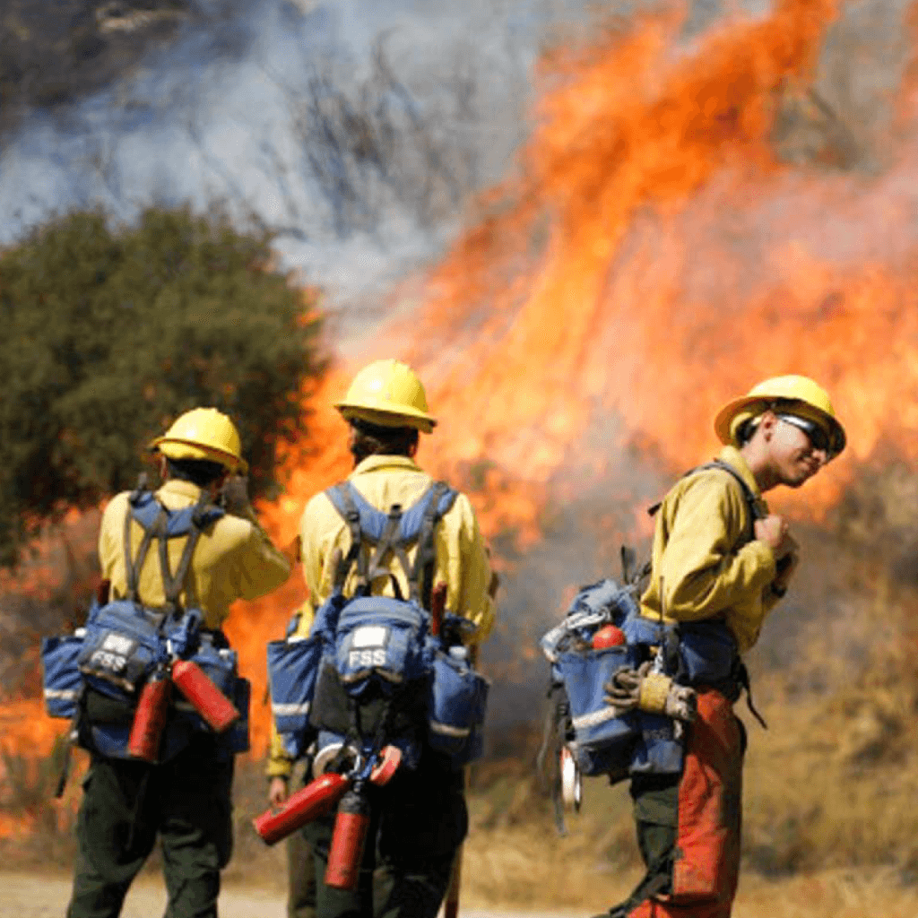 Forest Firefighter by Protenge
